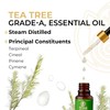 CORE & PURE Tea Tree Grade-A, Essential Oil |Natural, Potent|