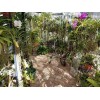 JSNY Tripod Sprinkler Adjustable Rainforest Revolving Lawn Garden 20 -1900