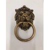 Forge Hardware Studio Brass Lionhead Door Knocker - Brass Home