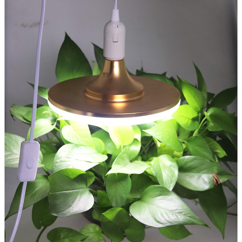 Rextin Double E26/E27 LED Light socket 21FT extension cord with
