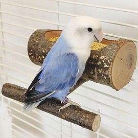 TANOMA Small Bird Feeding Dish Cups, Removable Pet Food Bowl for Cage, Parrot Feeding Bowls for Finches Lovebirds Budgie Cockatiel Parakeet