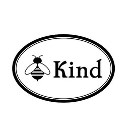 Bee Kind Magnet - 4x6 Oval Automobile Magnet (1 Magnet)