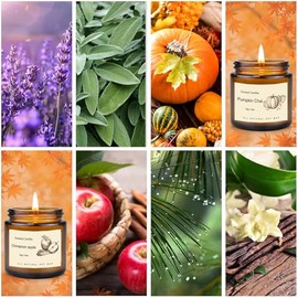 Feibao 6 Pack Scented Candles for Home, Aromatherapy Gifts for Women Men, Fall Winter Holiday Natural Soy Candles Set for Birthday, Mother's Valentines Day Gifts for Her