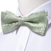 Hi-Tie Bow Tie Men Pre Tied Bowtie Pocket Square Cufflinks