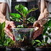 OUPSAUI OUPSAUI 21 Pack 3.5/5/6 Inch Clear Nursery Pots for