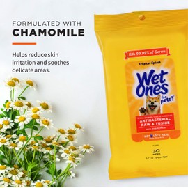 Wet Ones for Pets Paw & Tushie Dog Wipes with Chamomile, Tropical Splash Scent - Cleansing Wipes for Paws and Butt Between Baths with Wet Lock Seal, 30 Count