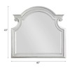 Acme Florian Wooden Arched Frame Mirror with Beveled Edge in