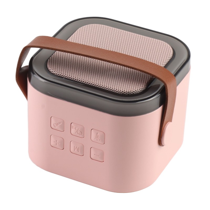 Karaoke Machine Mini Portable Wireless Bluetooth Handheld Microphone Speaker for