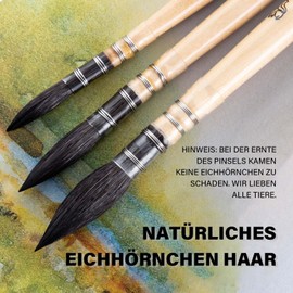 COOZEE Artist Brush, Professional Watercolour Brush Made of Natural Squirrel Hair, Round, Pointed Brush Set, Perfect for Watercolour, Gouache Acrylic Painting (3 Brushes)