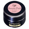 Prigel Gel Nail Color EX Sheer Pink-P 547