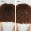 Paul Mitchell Color Protect Conditioner,16.9 Fl Oz