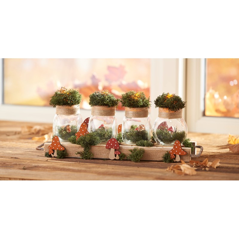 VBS Set of 4 Storage Jars/Candy Jars