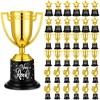 36 Pack Gold Trophy Award Bulk Star Thumbs up Trophy