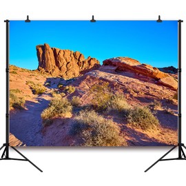 DePhoto 7x5FT Desert Backdrop Reptile Habitat Blue Sky Desert Rocky Bush Natural Scenery Photography Background Aquarium Background Hiking Camping Pictures Home Decor Photo Studio Props