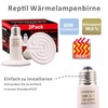 DERNORD Reptile Heat Lamp Terrarium 50 Watt Pack of 2