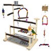 PINVNBY Bird Playground 9 PCS Parrot Perch Stand Play Gym