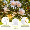 12 Pack Fruit Protection Cages, Reusable Squirrel Proof Fruit Covers,