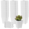 JOIKIT 120 Pack 3 Inch White Square Nursery Pot, Plastic