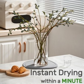 Relime Diatomaceous Earth Plant Saucer for Indoor, 2 Pack Irregular 6 Inch 12 Inch, Instant Dry Pot Saucer, Plant Drip & Drainage Tray for Indoor, Stone Gray