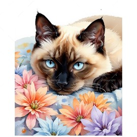 Pet Portrait Paint by Numbers Kit for Adults - DIY Blue-Eyed Siamese Cat and Flowers Painting on Canvas 16x20 Inches,Acrylic Paint Set,Suitable for Beginners,Cat Art for Home Decoration/Gift