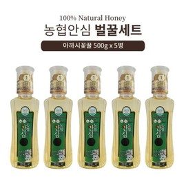 Nonghyup Safe Special Honey, Acasi Flower Honey, 5 bottles / 농협 안심 특화 벌꿀 아까시꽃꿀 5병