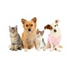 PET SUPPLEMENTS Vitamins for Dogs Joints - Ultra Vitamins for