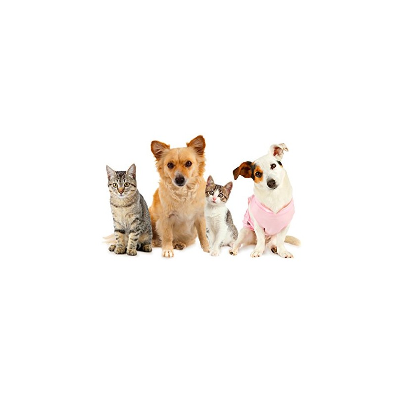 PET SUPPLEMENTS Vitamins for Dogs Joints - Ultra Vitamins for