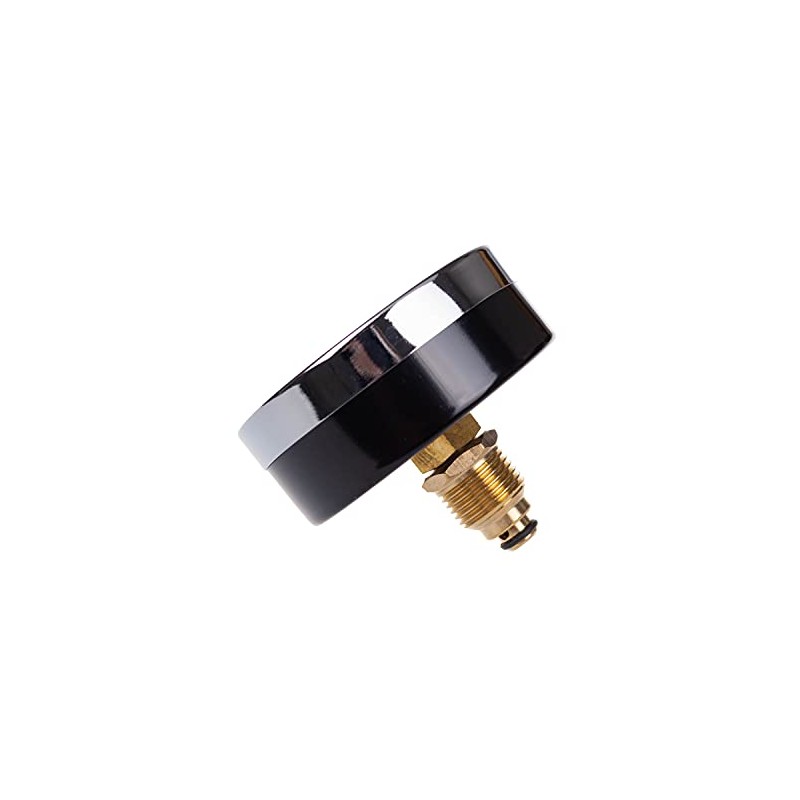 THERMIS Thermomanometer connection from the rear G1/2 (80 mm) 0-120°C