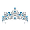 Rannyrena Crystal Wedding Tiaras and Crowns for Women Sparkling Rhinestone