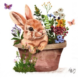 (2) Paper Beverage Napkins for Decoupage/Mixe