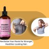 Pomberries Organic Rosemary Pumpkin Saw Palmetto Hair Growth Oil for