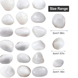 Lechloris 10Ib White River Rocks for Landscaping- High Polished White Pebbles for Plants-Garden Decorative Stones-1-2" Large Plant Rocks,Ideal for Aquarium, Home Decor