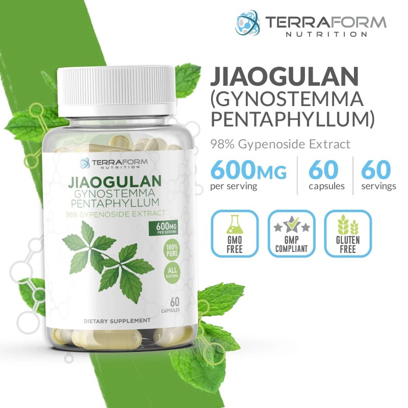 Terraform Nutrition Gynostemma Pentaphyllum Supplement – 98% Gypenoside Extract (20:1)