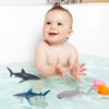 6PCS Shark Toys Set, Beautiful and Exquisite Practical Shark Toy