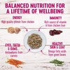 Wellness Petite Entrees Mini Filets Grain Free Natural Wet Small
