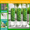 ProFreshion Herb Keeper - 3-in-1 Refrigerator Storage Container with Humidity
