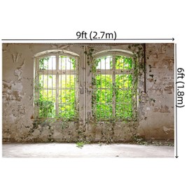 WaW 2.7 x 1.8 m Rustic Window Spring Photo Background Shabby Chic Concrete Flowers Backgrounds for Photo Studios, Children, Portrait, Photo Wall, Photo Box, Video Background, Grey