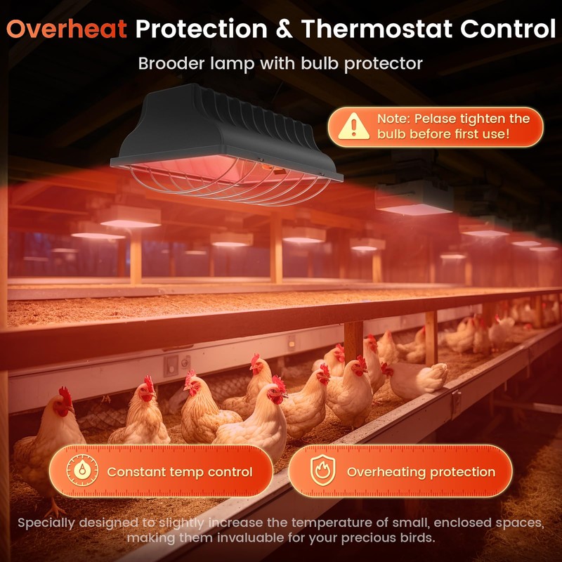 Chtoocy 250W Bulb Repalcement -Heater for 30 Chicks Or Ducklings,7.86ft