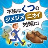 ドライペット 除湿剤 スピード吸湿 くつ用 くりかえし再生タイプ 2枚入(1足分) 靴 湿気取り