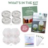 Fermentation Kit with 4 Glass Pickle Weights, 4 Airlock Lids,