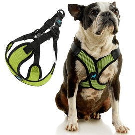Gooby Comfort X Step in Lite Dog Harness - Choke Free, Escape Free with Light Breathable Mesh - Step in Dog Harness for Small and Medium Dogs - Quick Release Buckle, Metal D-Rings - Green, Medium