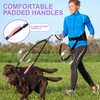 Hands Free Dog Leash with Adjustable Waist Belt, Double Waist
