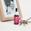 Australian Bush Career, 1.0 fl oz (30 ml), Combination Flower