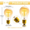 Sevici A19 Edison Light Bulb,E26 Incandescent Light Bulbs 60W Antique