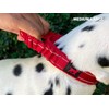 Tuff Pupper Heavy Duty Dog Collar with Handle | Ballistic