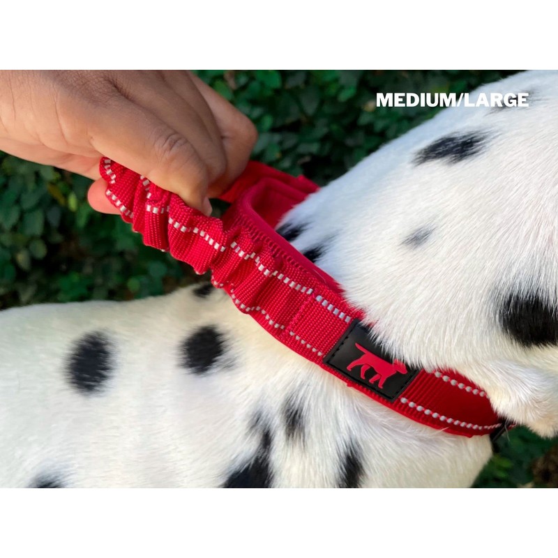 Tuff Pupper Heavy Duty Dog Collar with Handle | Ballistic