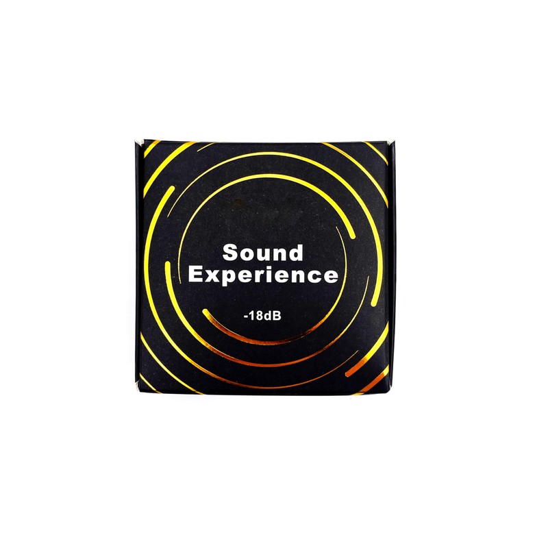 Party Music Ear Plugs Noise Isolating Ear Plugs with Case