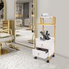 Freestanding Barber Cart, Barber Cart with 2 Drawers, Salon Trolley