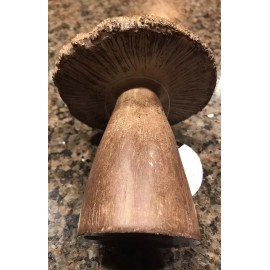 Debi lilly BROWN MUSHROOM W/ GOLD EDGE DECORATION 6.5” T  by Debi Lilly