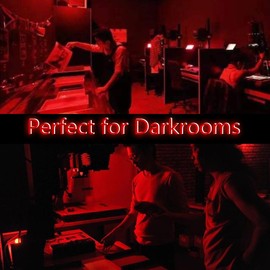 YCCLDIPL Darkroom Safe Light Portable Red Lamp, E27 LED Screw Mouth Wall Light 360 Degree Desk Light with Switch